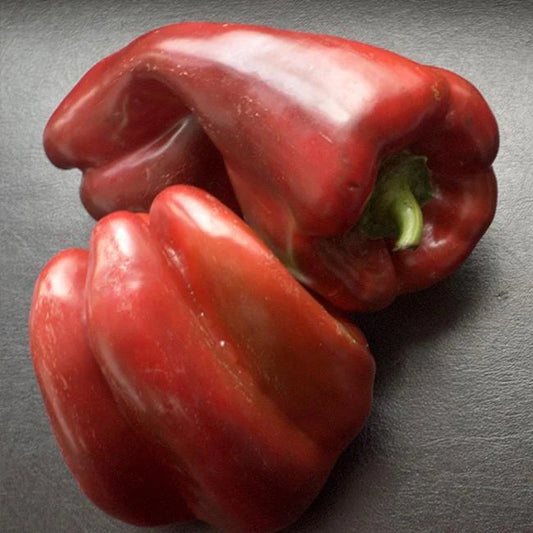 What Do Chocolate Peppers Taste Like?