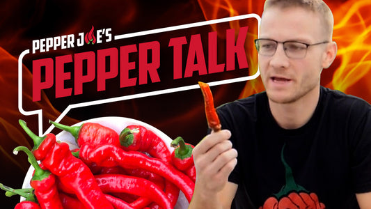 Colton Eats a Jimmy Nardello Pepper - Calls it One of the Best Sweet Peppers!