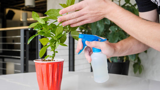 How to Get Rid of Pests on Pepper Plants