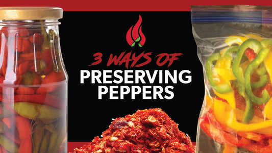 3 Simple Ways to Preserve and Store Peppers