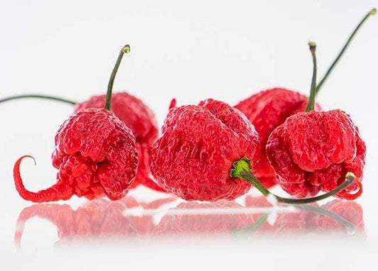 Carolina Reaper