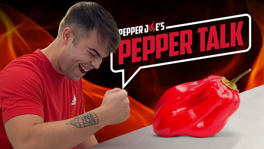 red savina habanero pepper talk