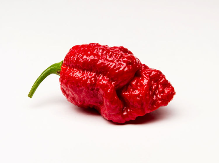 red brain strain pepper