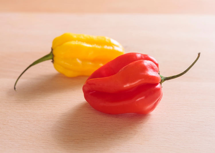 red and yellow scotch bonnet chili peppers