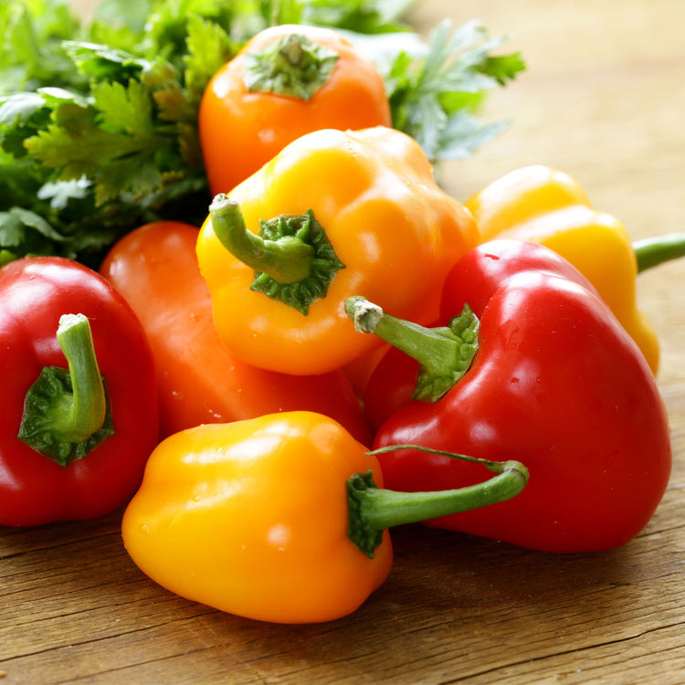 Sweet Pepper Seeds