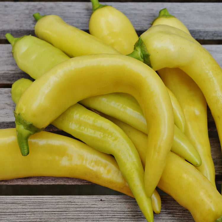 Banana Pepper Seeds