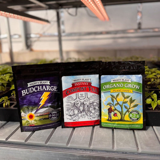 Fertilizantes y sanidad vegetal