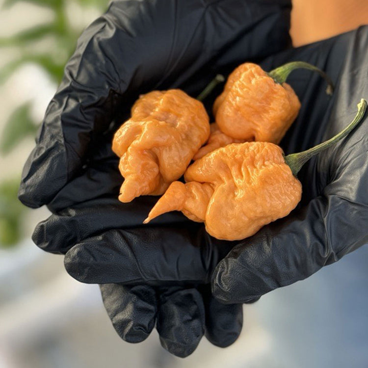 Super Hot Pepper Seeds