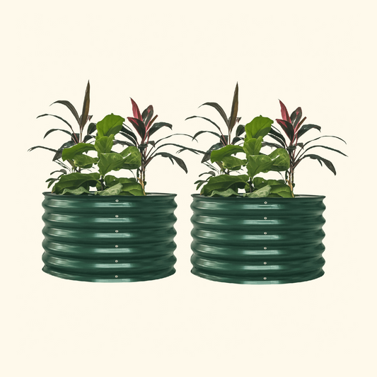 Two British Green berry garden raised beds with colorful flowers and plants on a white background.