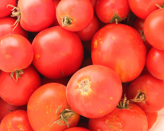 Celebrity Plus Hybrid Tomato Seeds