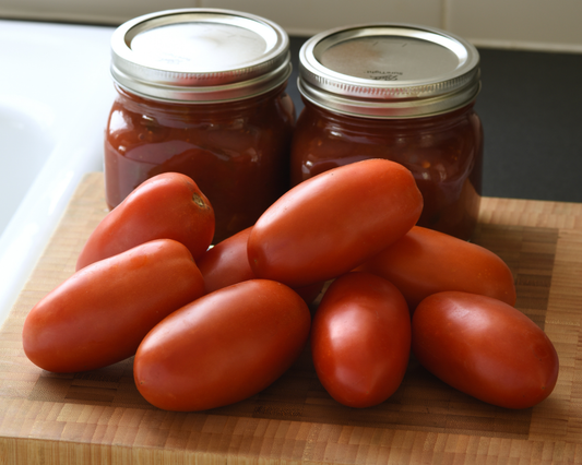 Bellatrix Hybrid Tomato Seeds