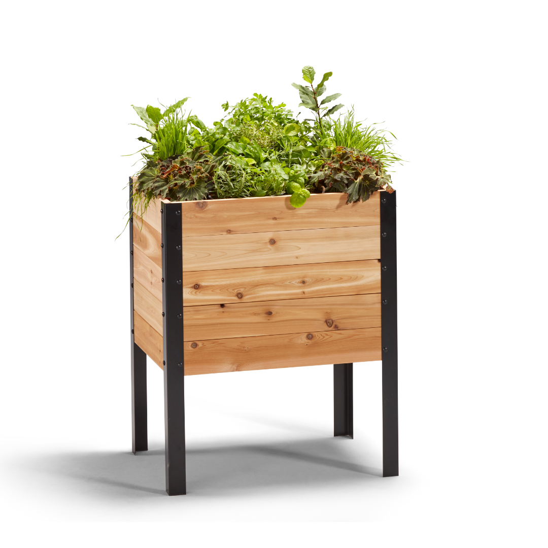 18″ x 24″ Raised Garden Bed - 30" TALL