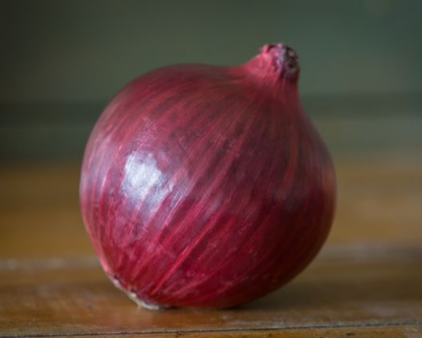 Cebolla híbrida roja Nugent