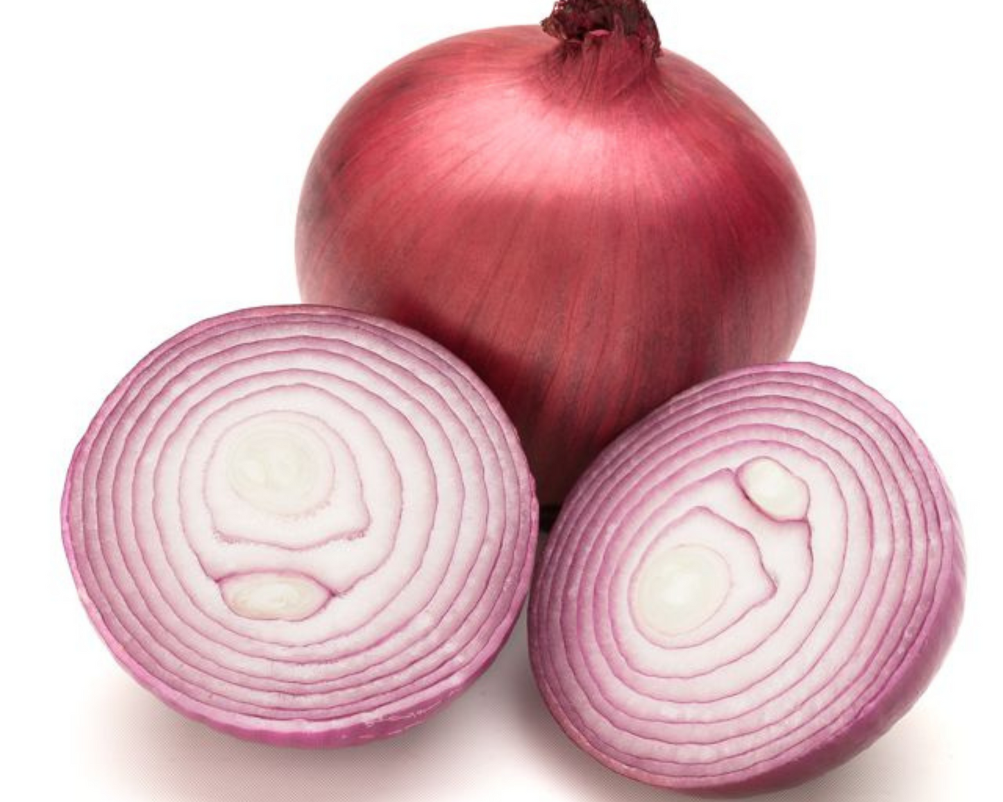 Cebolla híbrida roja Nugent