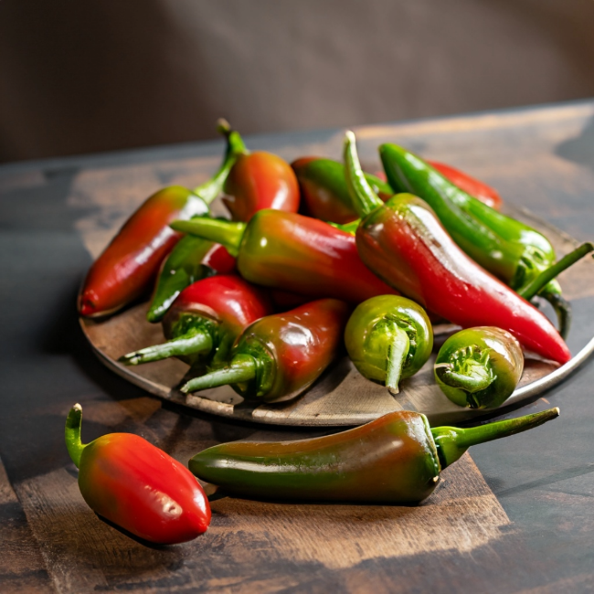 Semillas de chile jalapeño y chipotle