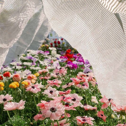 white shade cloth shown in use over colorful flowers