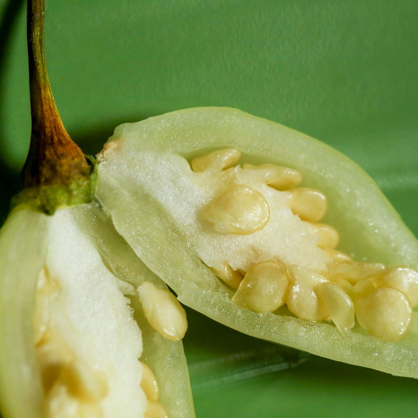 Biquinho White Pepper Seeds