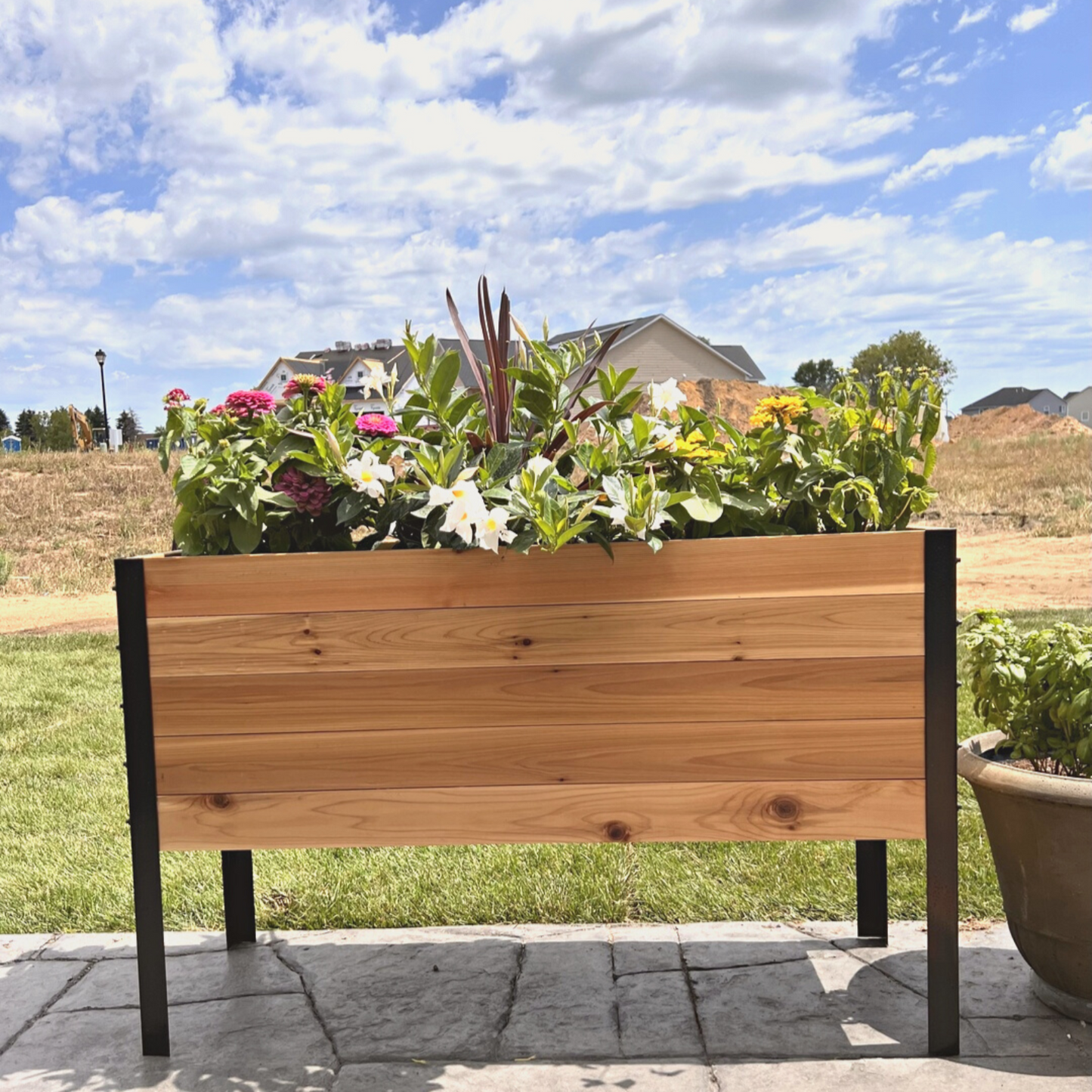 Cedar Planters 18x36 inch raised garden bed with plants in a backyard setting.