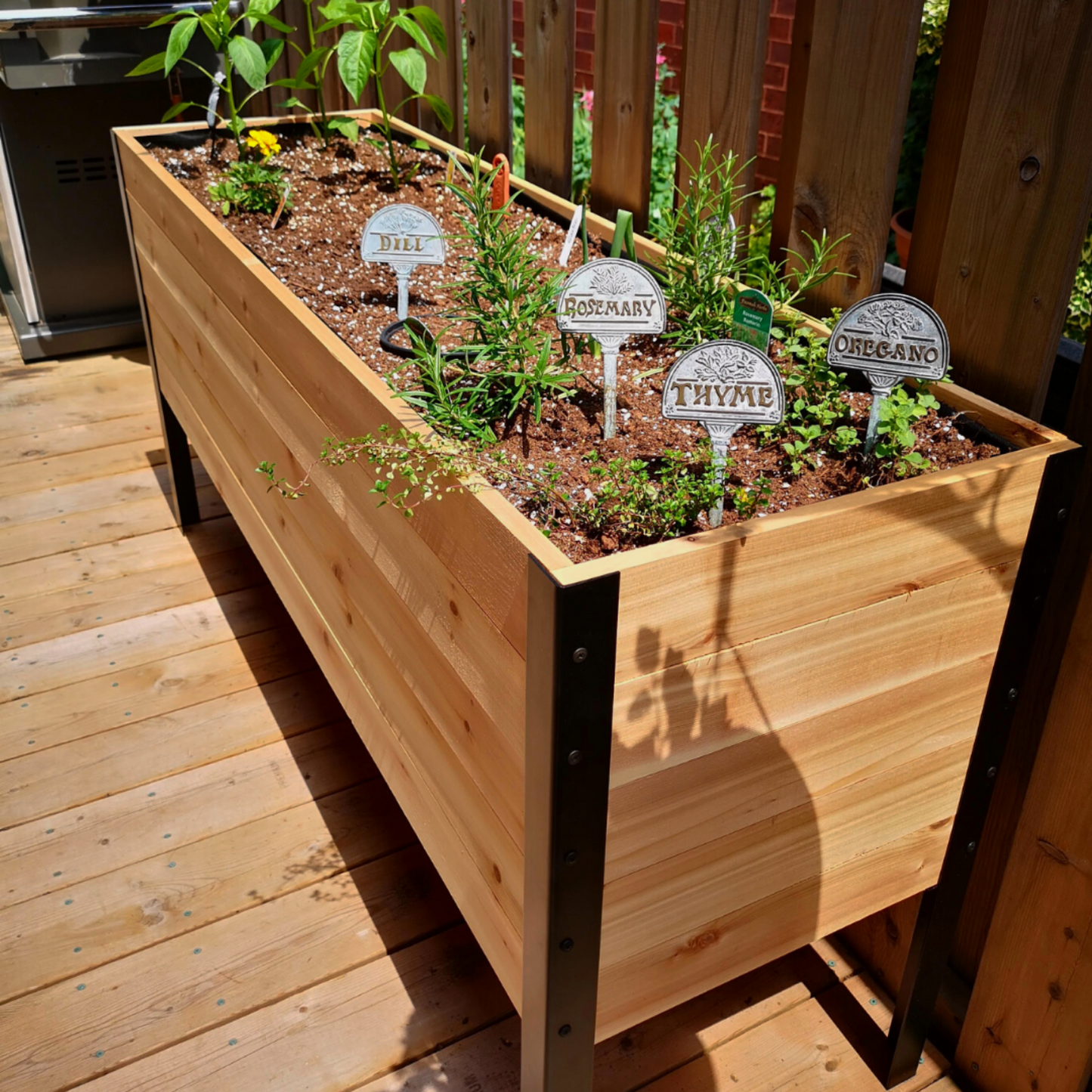 Cedar raised garden bed with herbs and labeled markers on a wooden deck.