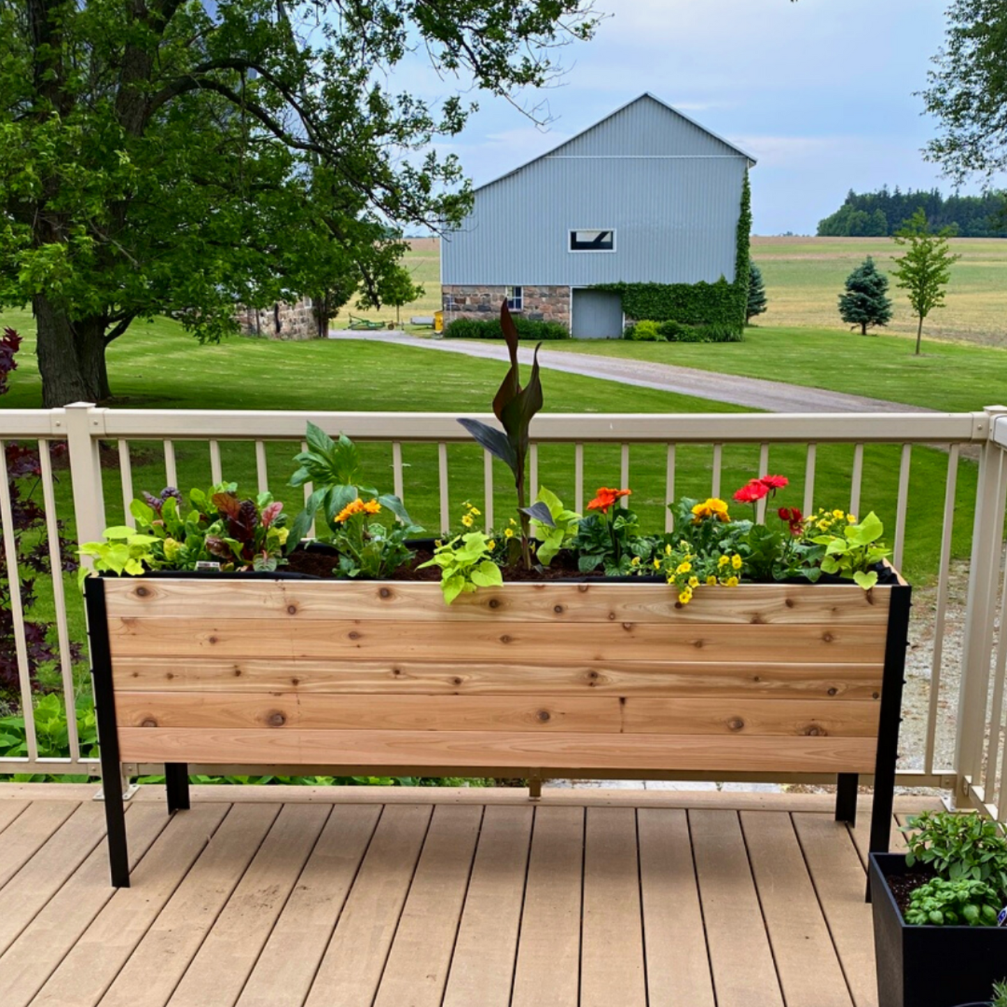 Cedar Planters 18x72 inch raised garden bed with plants in a backyard setting.