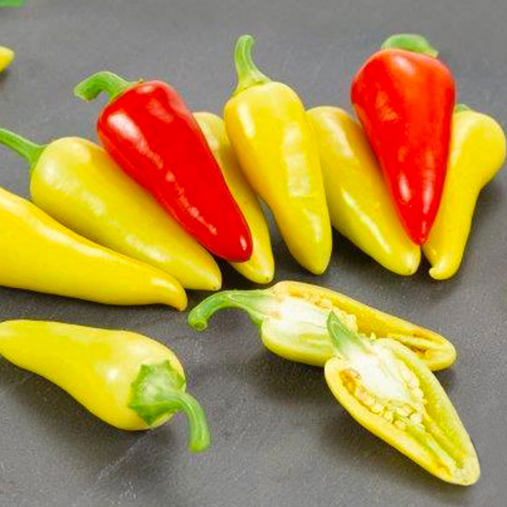 Dancing Spirits F1 Pepper Seeds