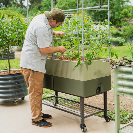 Person tending to plants in a EZCube-Elevated-Rolling-Planter-Cart–Mobile-Stand-for-21″-x-48″-EZCube in an outdoor setting.