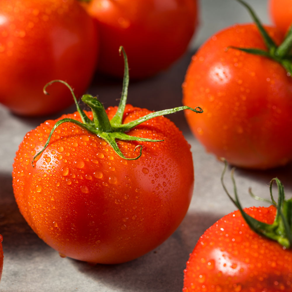 Pepper Joe's Heirloom Tomato Seed Collection