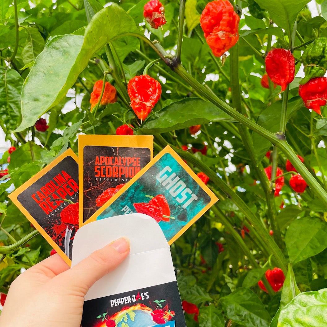 Super Hot Pepper Seed Grow Kit