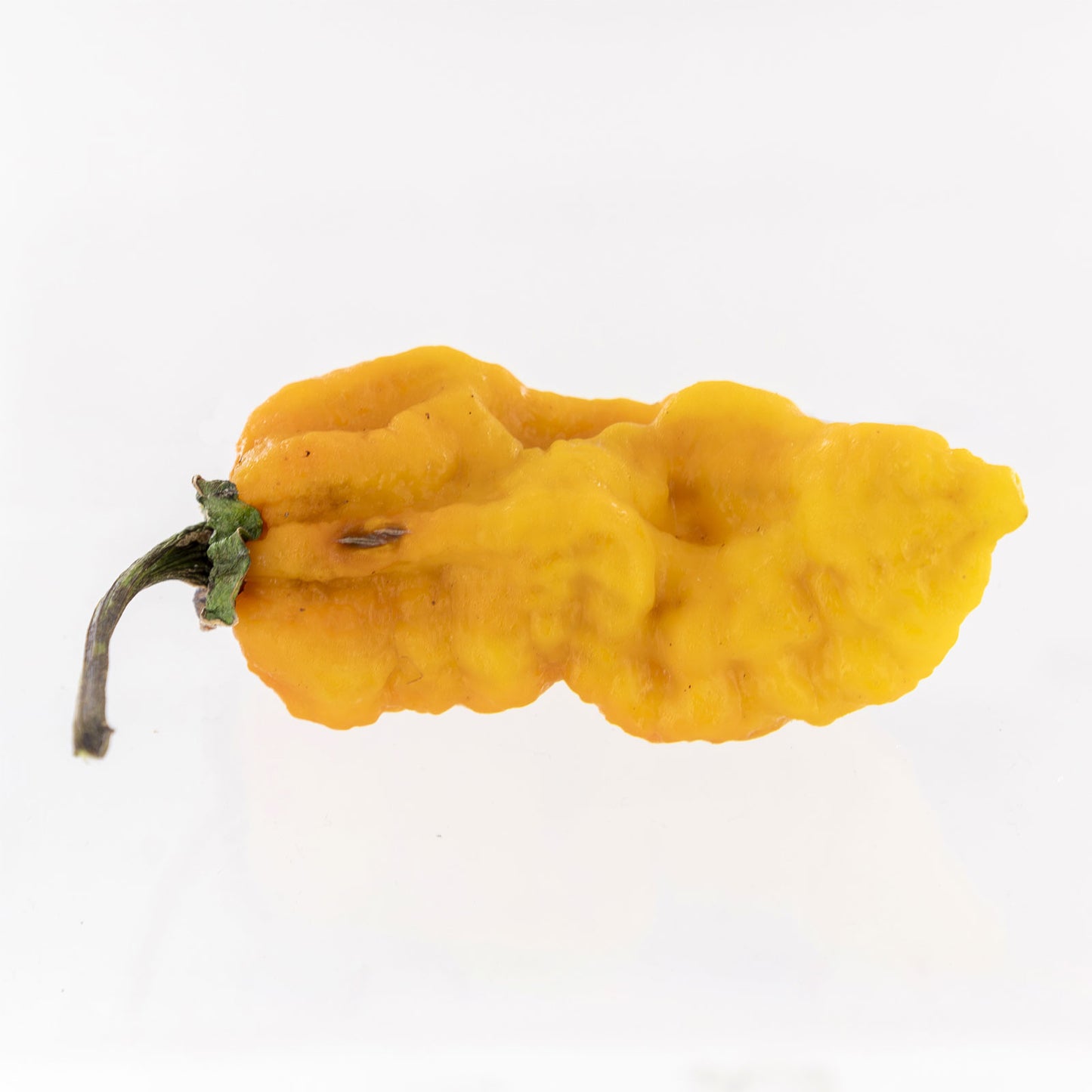 Semillas de pimiento amarillo Naga Bubblegum (7 unidades)
