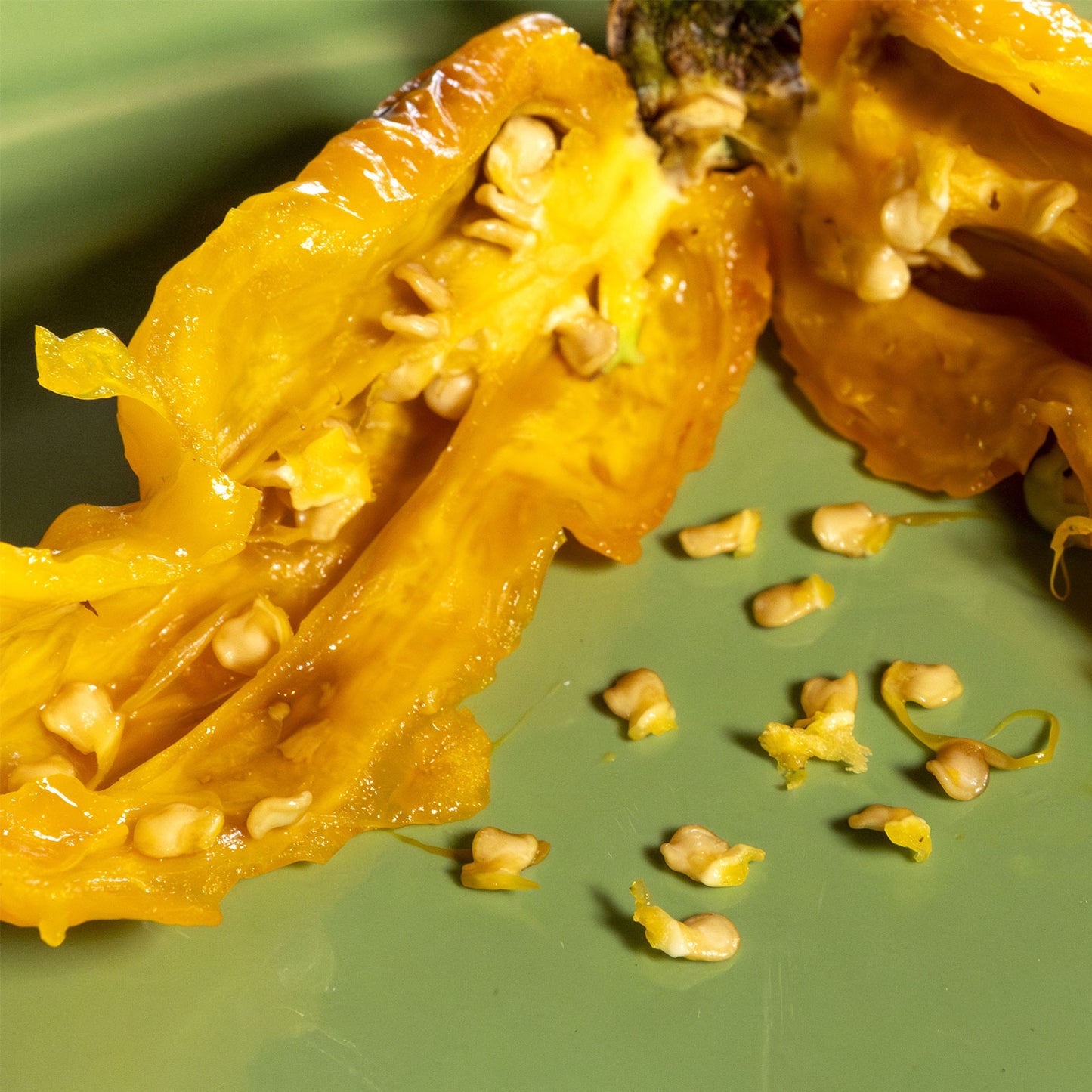 Semillas de pimiento amarillo Naga Bubblegum (7 unidades)