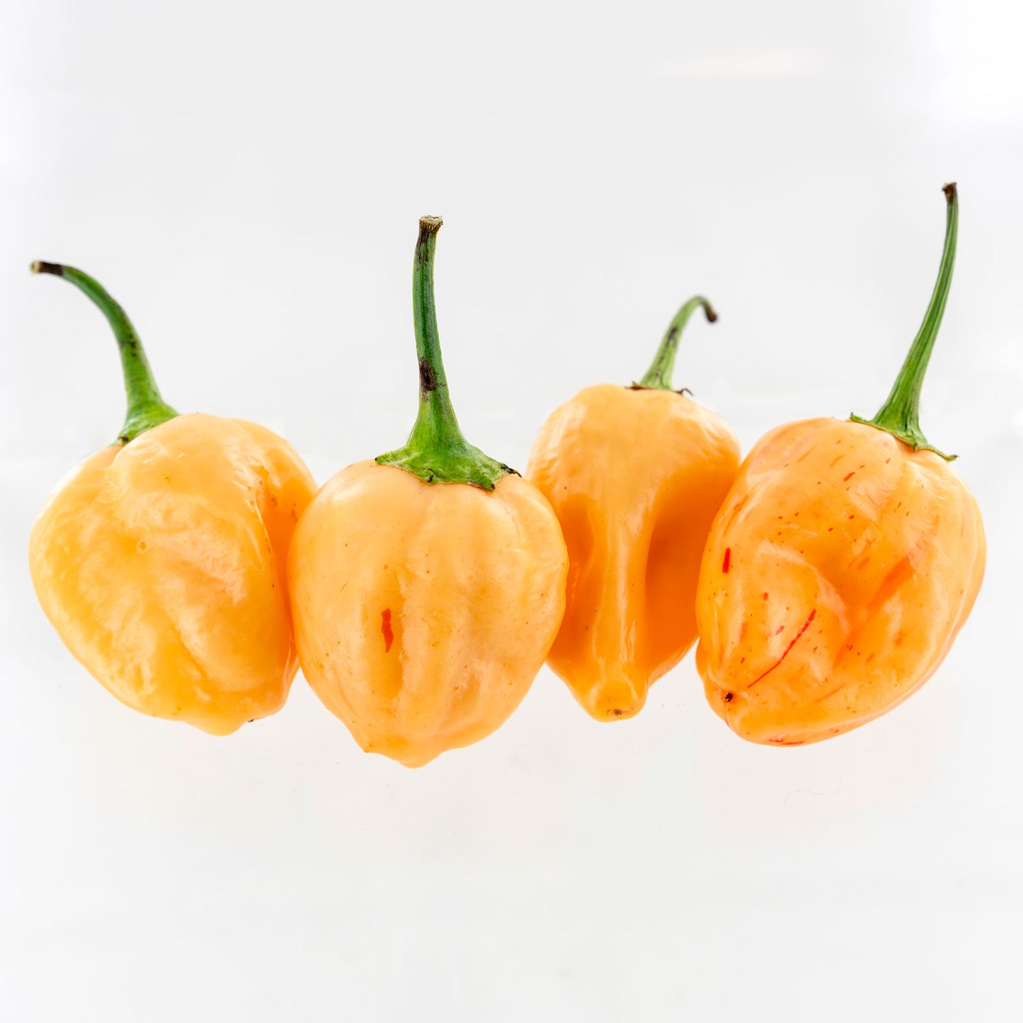 Peachadew Pepper Seeds