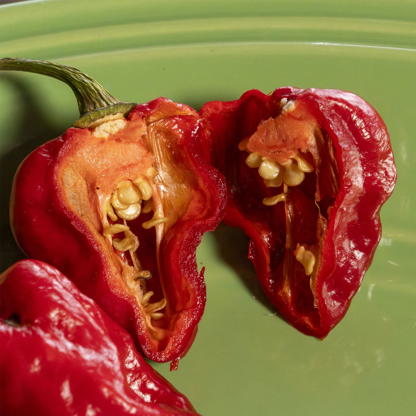 Semillas de pimiento escorpión fantasma morado