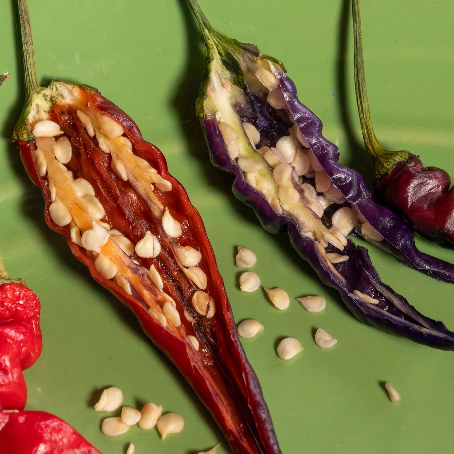 Purple Thai Pepper Seeds