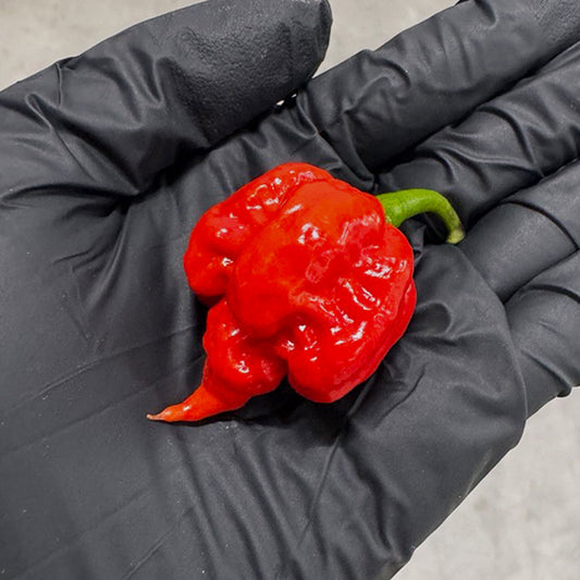 Reaper Madness Pepper Seed Collection