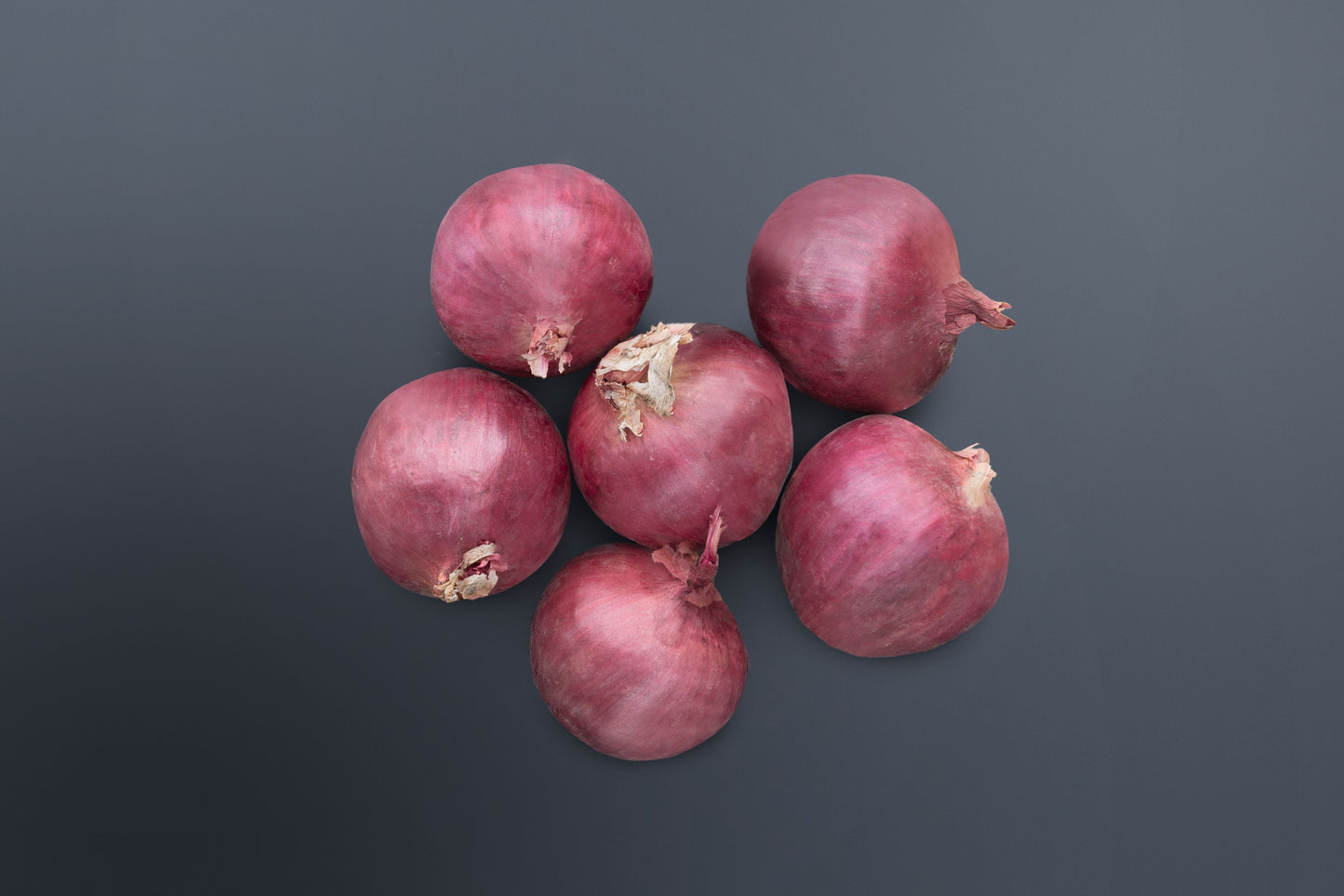 Semillas de cebolla híbrida de montaña roja