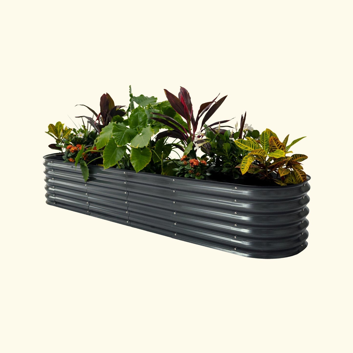 A modern gray self-watering Garden Bed with colorful flowers and plants on a white background.