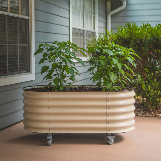 Rolling garden bed with pepper plants in backyard