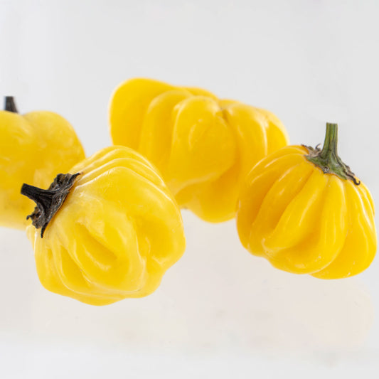 Yellow Brazilian Starfish Pepper Seeds