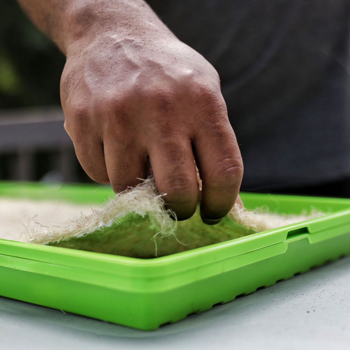 Close-up of hand lifting hemp grow mat showing natural fibers and texture in green 1020 seed tray used as a soilless growing medium for microgreens