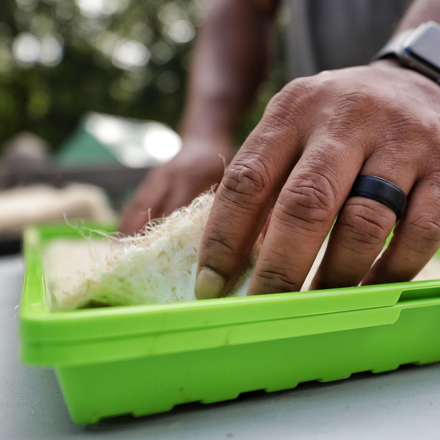 Close-up of hand placing hemp grow mat into green 1020 seed tray as soilless growing medium for microgreens and seed starting