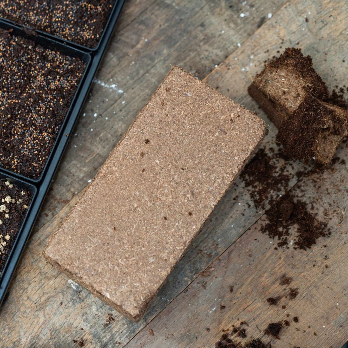 Coco coir brick with broken pieces on wooden table beside seed trays filled with soil for seed starting