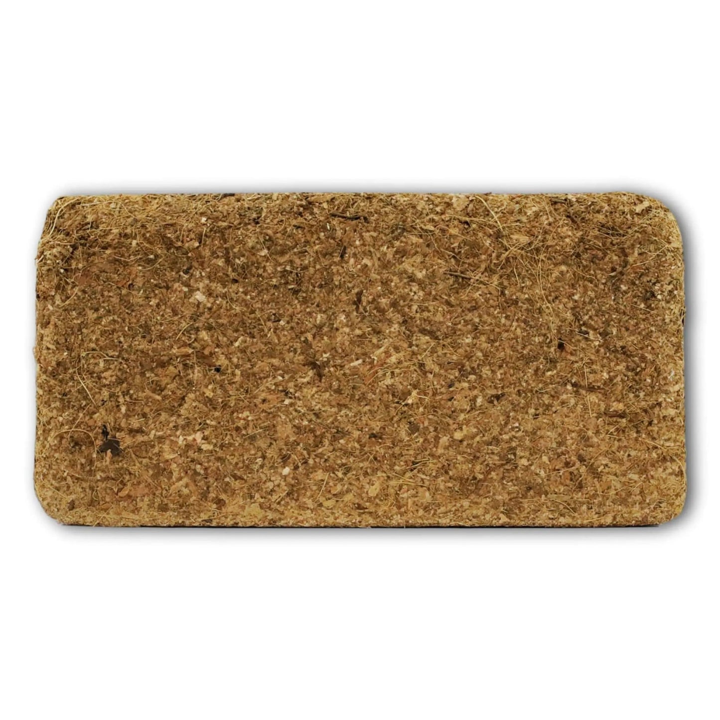 Compressed coco coir brick on white background showing natural texture of growing medium for seed starting and gardening