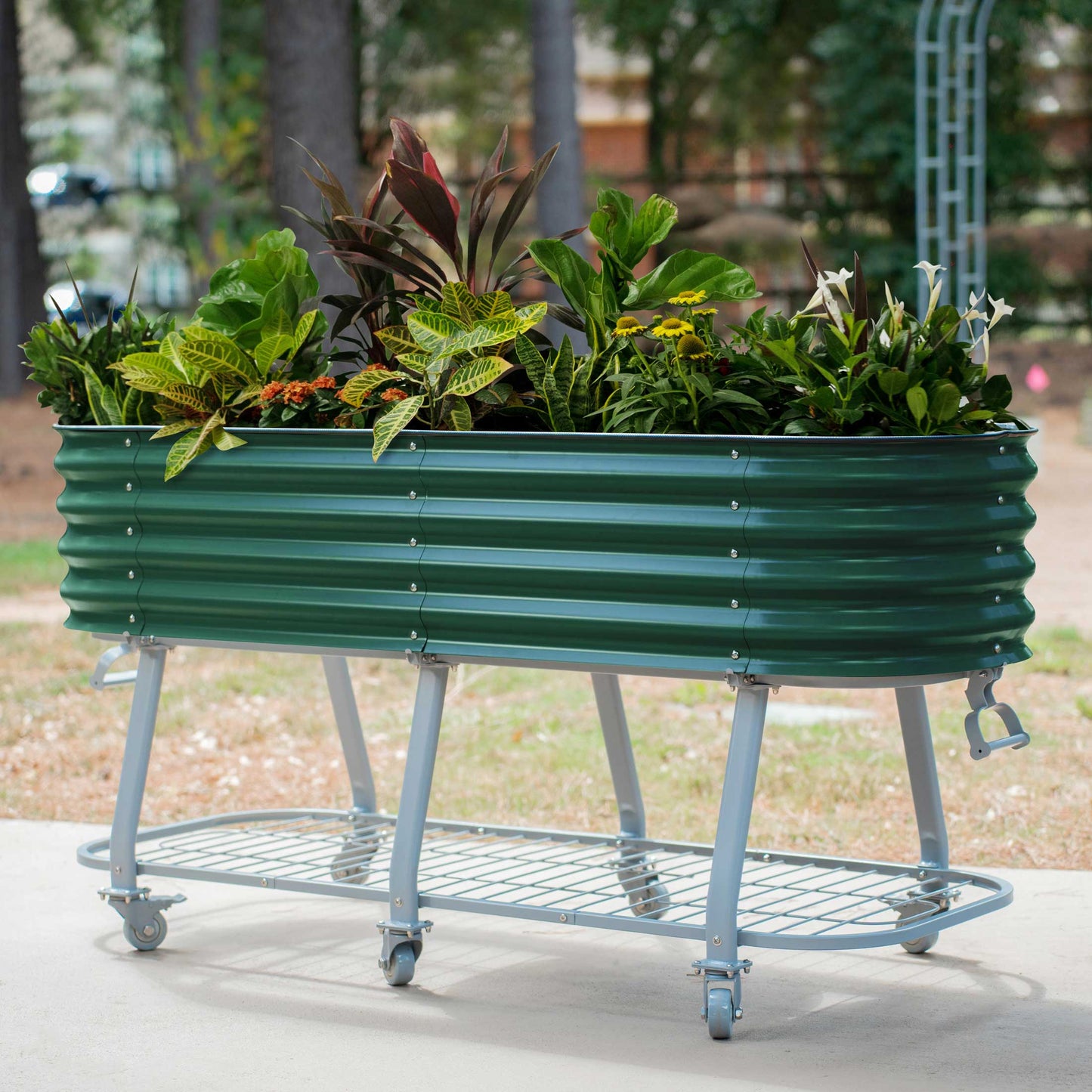 Cama de jardín elevada rodante con riego automático