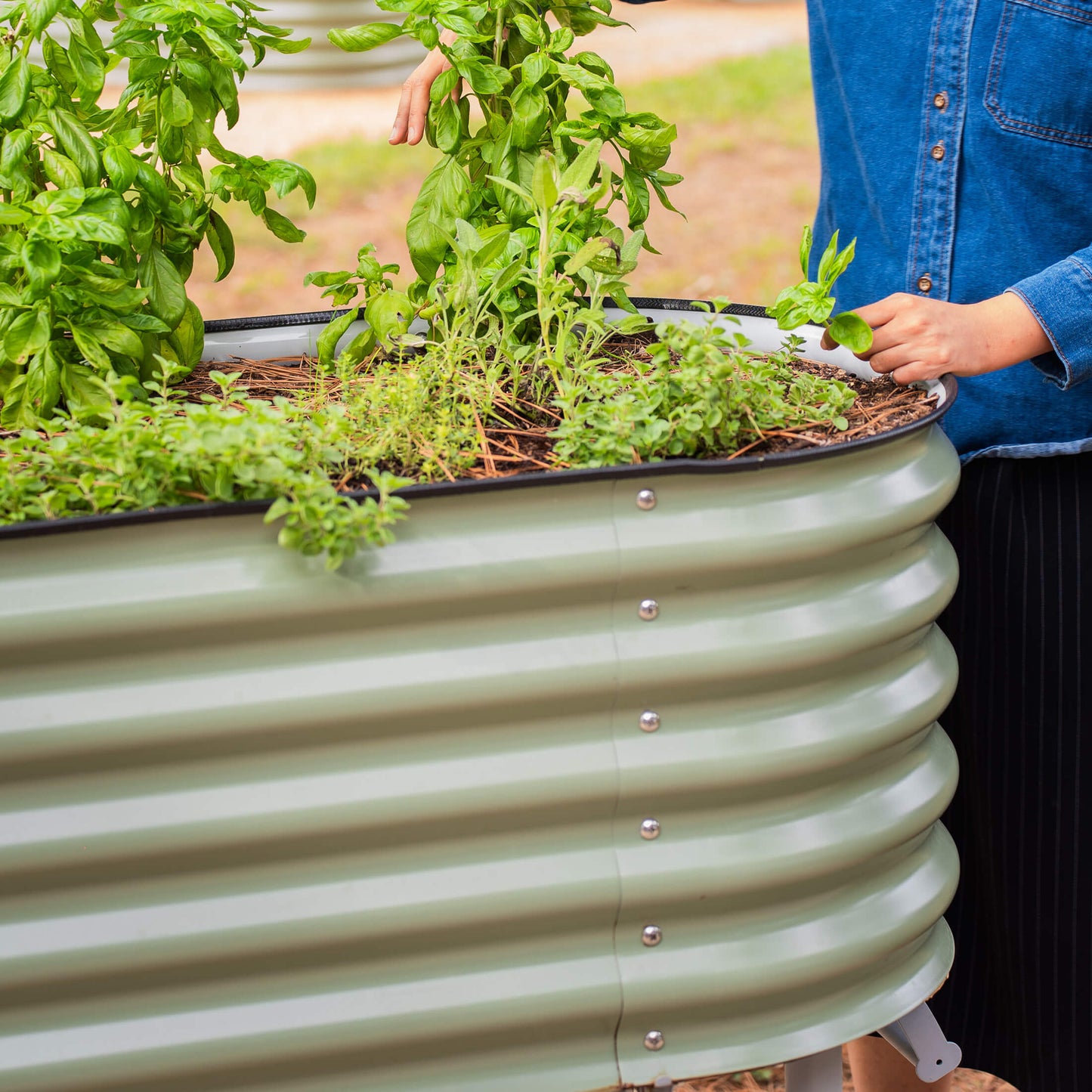 Cama de jardín elevada rodante con riego automático