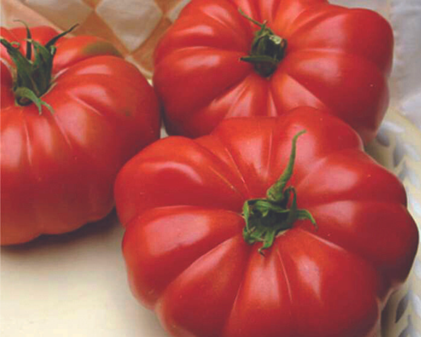 Grandma's Pick Hybrid Tomato Seeds