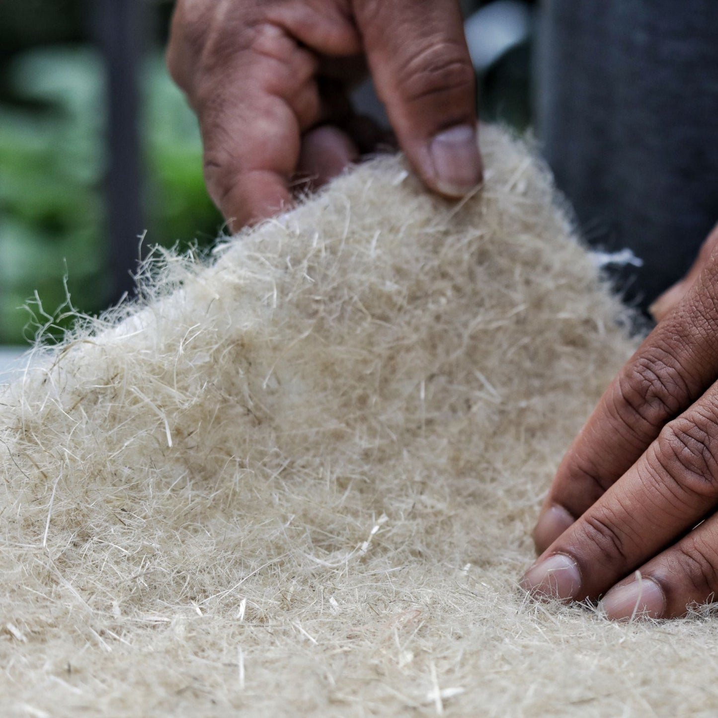 Close-up of hands holding hemp grow mat showing natural fiber texture used as soilless growing medium for microgreens