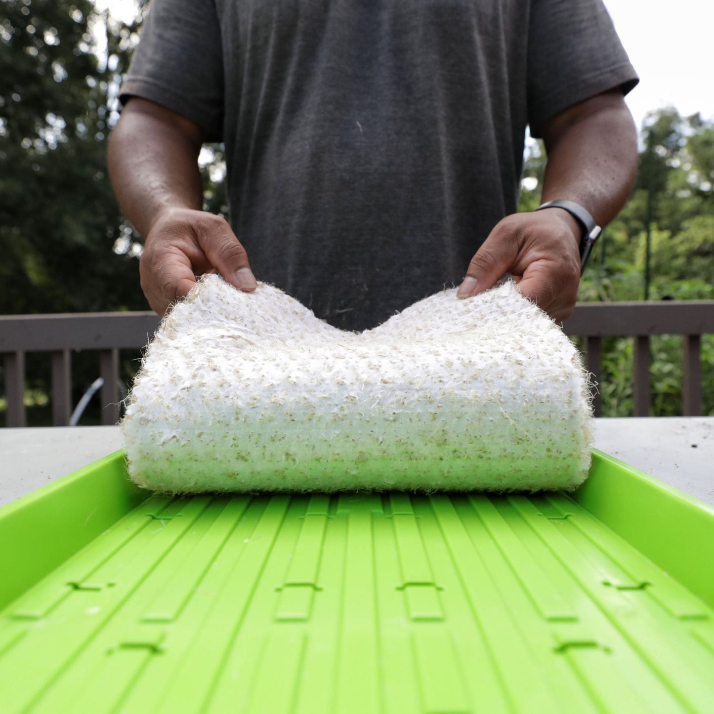 Person holding hemp grow mat above green seed tray showing underside of soilless growing medium used for hydroponics and microgreens