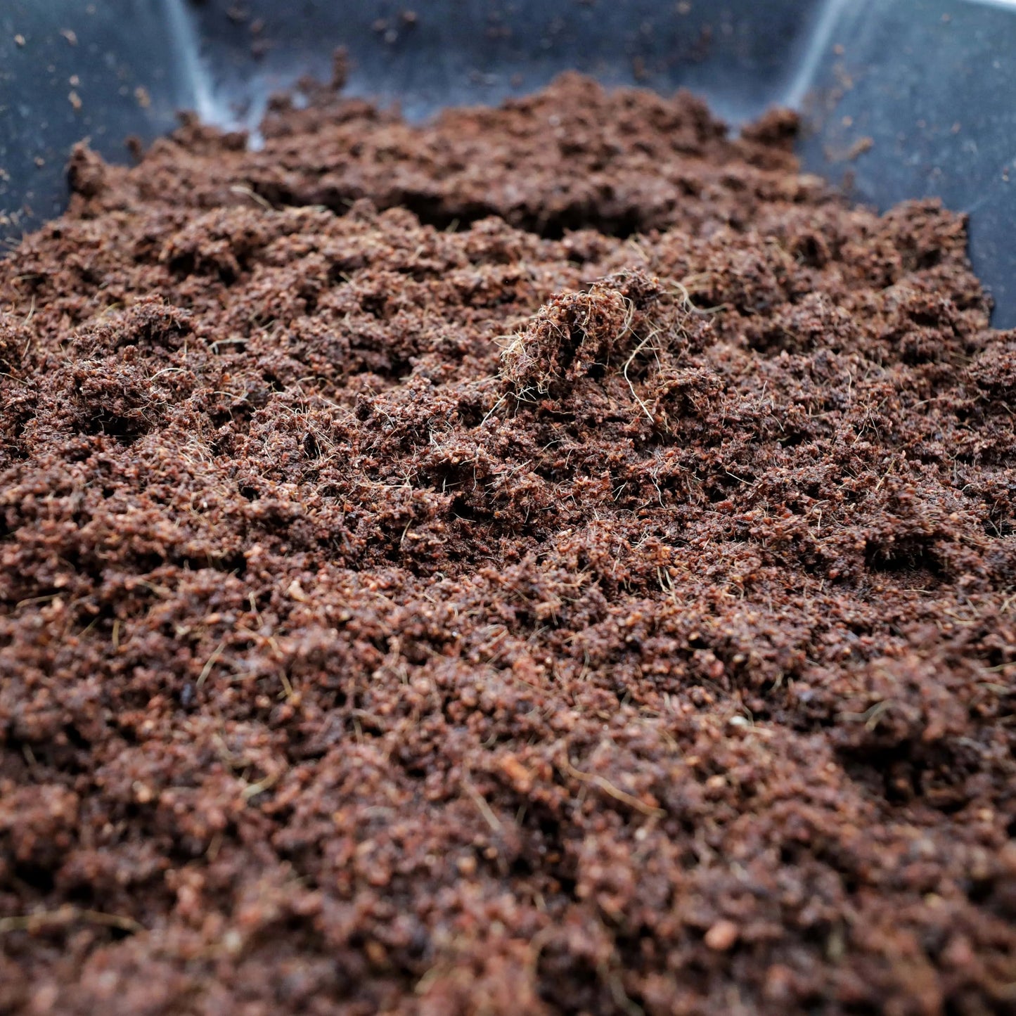 Hydrated coco coir growing medium broken up in black tray ready for seed planting