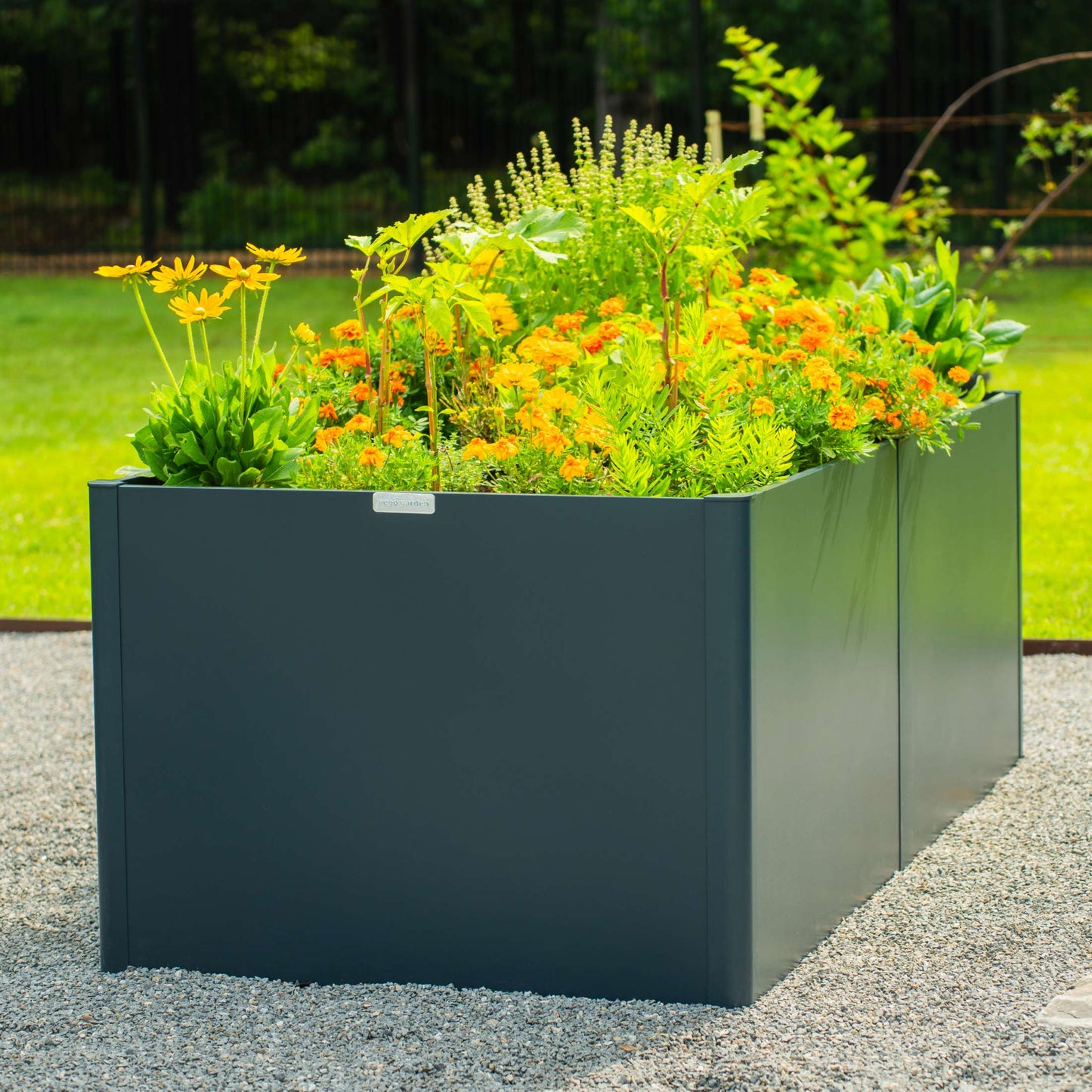 Cama de jardín elevada de metal moderna extra alta de 81 cm y 107 cm x 210 cm