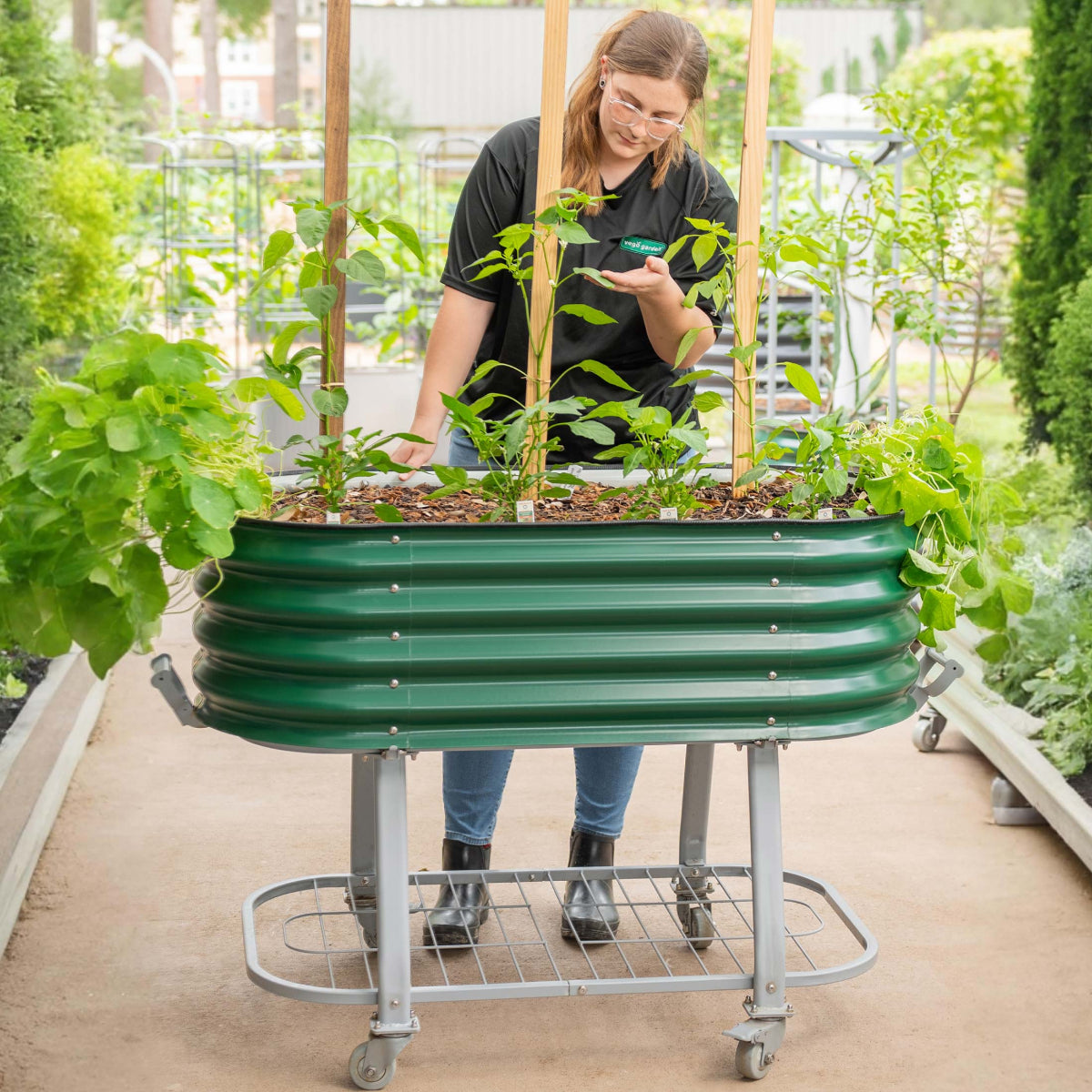 Cama de jardín elevada rodante con riego automático